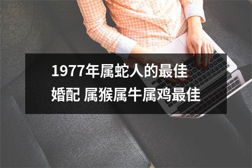 1977年属蛇人的佳婚配属猴属牛属鸡佳