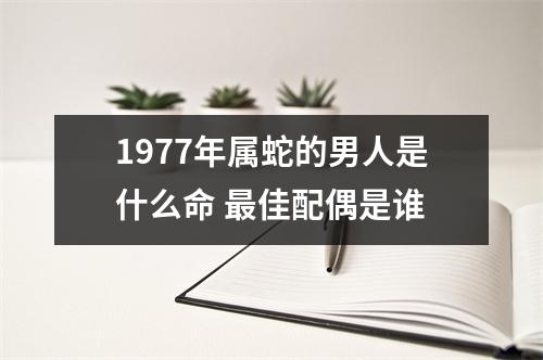 1977年属蛇的男人是什么命佳配偶是谁