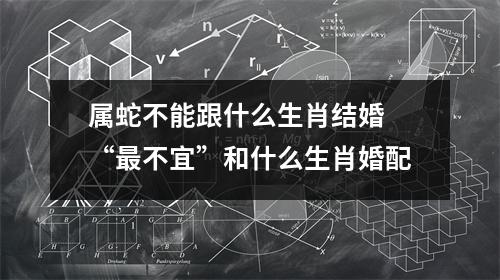 属蛇不能跟什么生肖结婚“不宜”和什么生肖婚配
