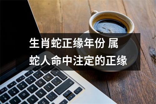 生肖蛇正缘年份属蛇人命中注定的正缘