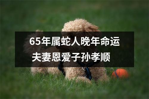 65年属蛇人晚年命运夫妻恩爱子孙孝顺