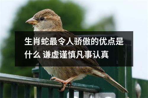 生肖蛇令人骄傲的优点是什么谦虚谨慎凡事认真