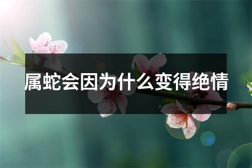 属蛇会因为什么变得绝情