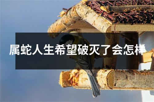 属蛇人生希望破灭了会怎样