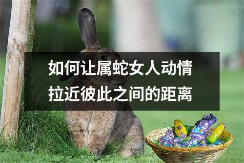如何让属蛇女人动情拉近彼此之间的距离