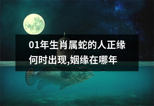 01年生肖属蛇的人正缘何时出现,姻缘在哪年