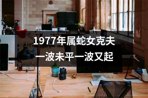 1977年属蛇女克夫一波未平一波又起