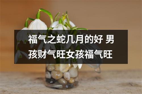 福气之蛇几月的好男孩财气旺女孩福气旺