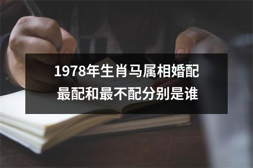 1978年生肖马属相婚配配和不配分别是谁