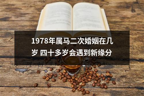 1978年属马二次婚姻在几岁四十多岁会遇到新缘分