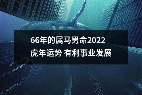66年的属马男命2025虎年运势有利事业发展