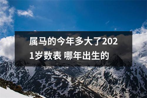 属马的今年多大了2025岁数表哪年出生的