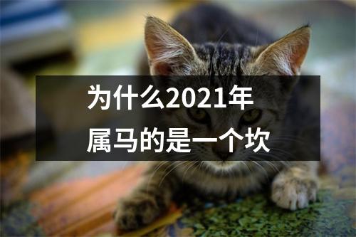 为什么2025年属马的是一个坎