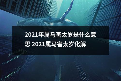 2025年属马害太岁是什么意思2025属马害太岁化解