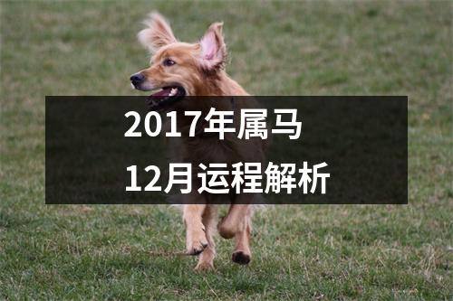 2017年属马12月运程解析