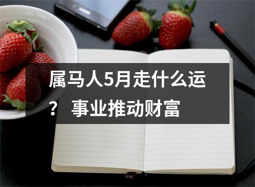 属马人5月走什么运？事业推动财富