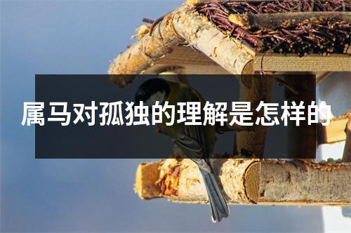 属马对孤独的理解是怎样的