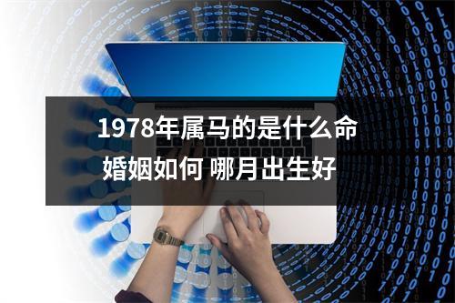 1978年属马的是什么命婚姻如何哪月出生好