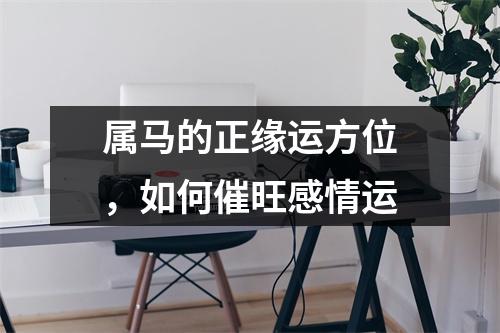 属马的正缘运方位，如何催旺感情运