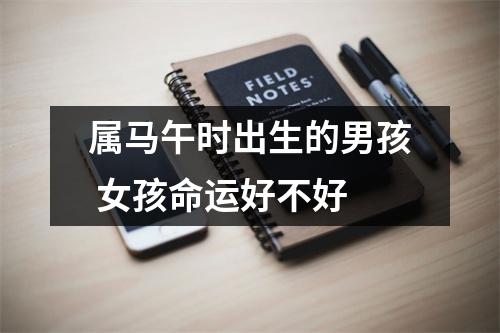 属马午时出生的男孩女孩命运好不好
