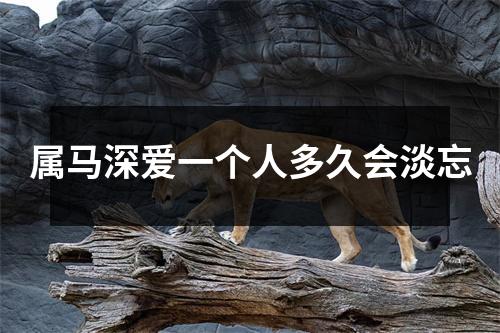 属马深爱一个人多久会淡忘