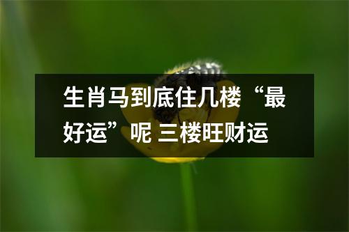生肖马到底住几楼“好运”呢三楼旺财运