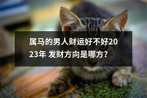 属马的男人财运好不好2025年发财方向是哪方？