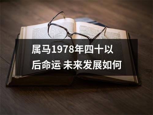 属马1978年四十以后命运未来发展如何