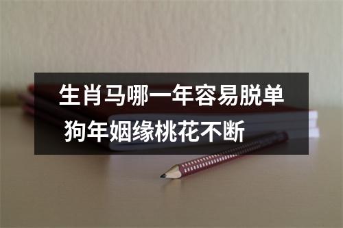 生肖马哪一年容易脱单狗年姻缘桃花不断