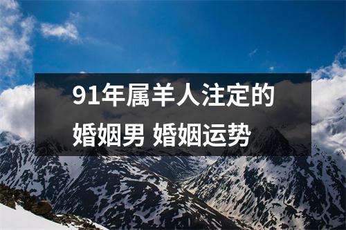 91年属羊人注定的婚姻男婚姻运势