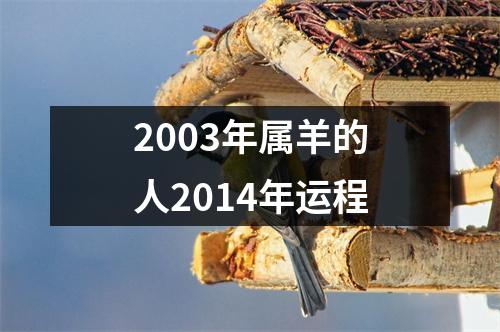 2003年属羊的人2014年运程