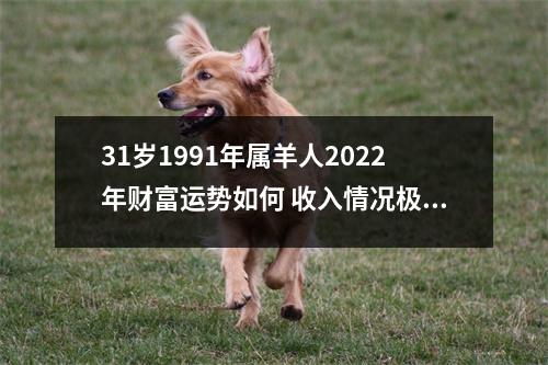 31岁1991年属羊人2025年财富运势如何收入情况极佳