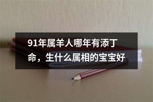 91年属羊人哪年有添丁命，生什么属相的宝宝好