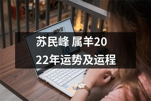 苏民峰属羊2025年运势及运程