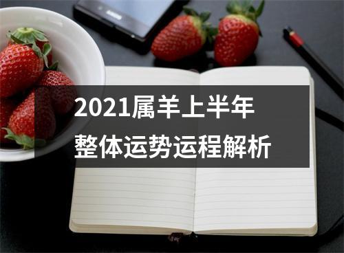 2025属羊上半年整体运势运程解析