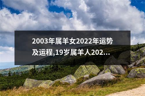 2003年属羊女2025年运势及运程,19岁属羊人2025年的每月运势