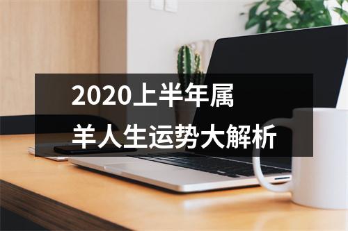 2025上半年属羊人生运势大解析