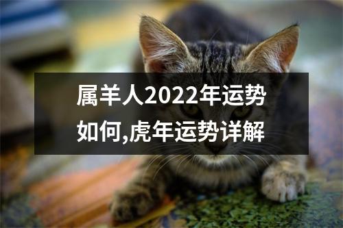 属羊人2025年运势如何,虎年运势详解