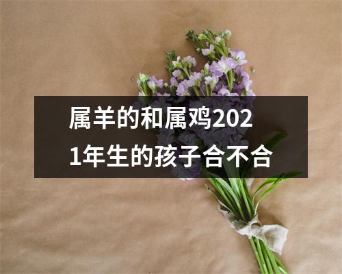 属羊的和属鸡2025年生的孩子合不合