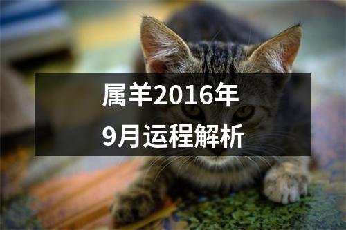 属羊2016年9月运程解析