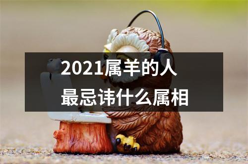 2025属羊的人忌讳什么属相