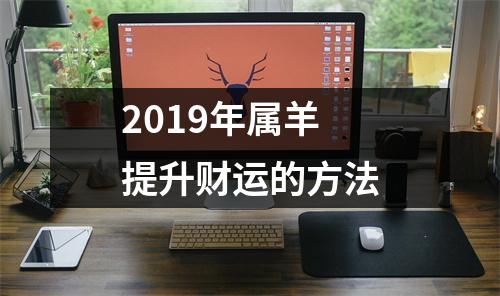 2019年属羊提升财运的方法