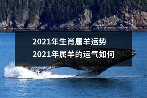 2025年生肖属羊运势2025年属羊的运气如何