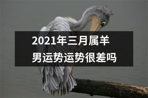 2025年三月属羊男运势运势很差吗