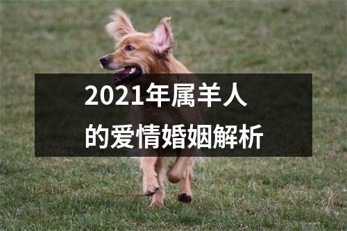 2025年属羊人的爱情婚姻解析