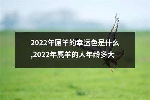 2025年属羊的幸运色是什么,2025年属羊的人年龄多大
