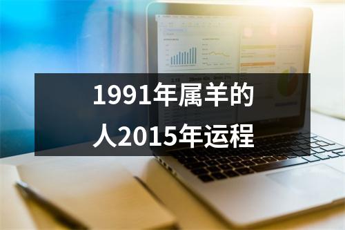 1991年属羊的人2015年运程