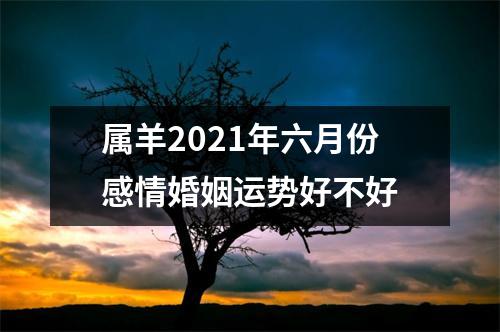属羊2025年六月份感情婚姻运势好不好