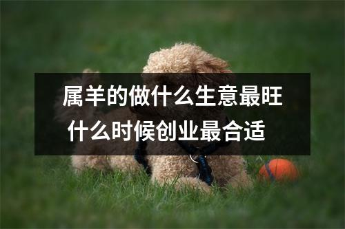 属羊的做什么生意旺什么时候创业合适