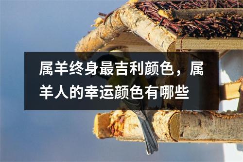 属羊终身吉利颜色，属羊人的幸运颜色有哪些